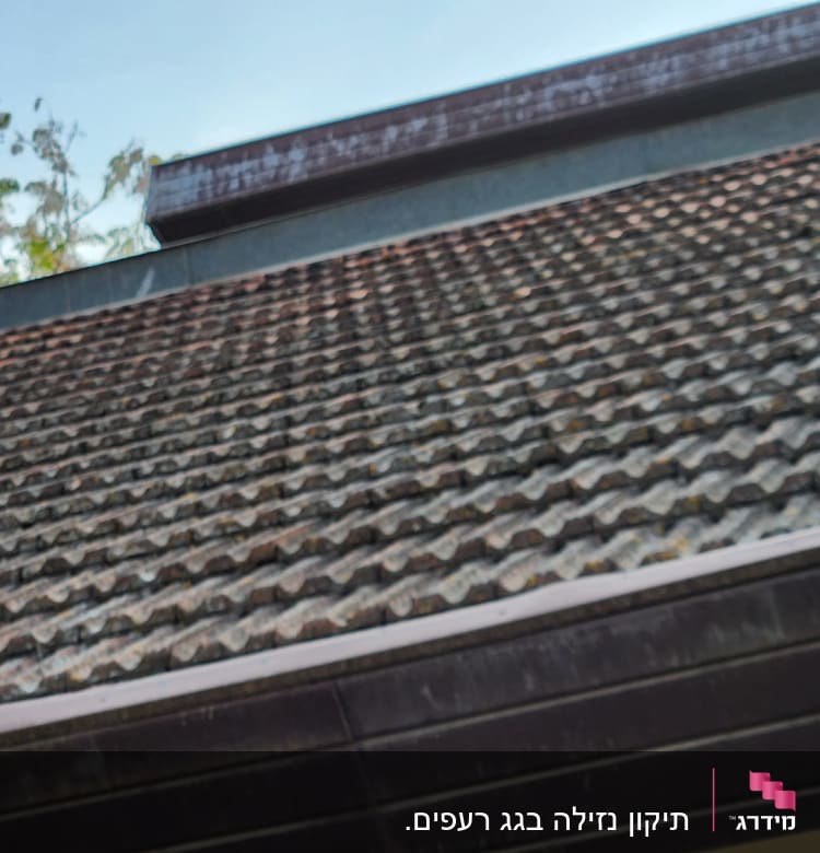 גג רעפים חום עם קורות עץ כהות